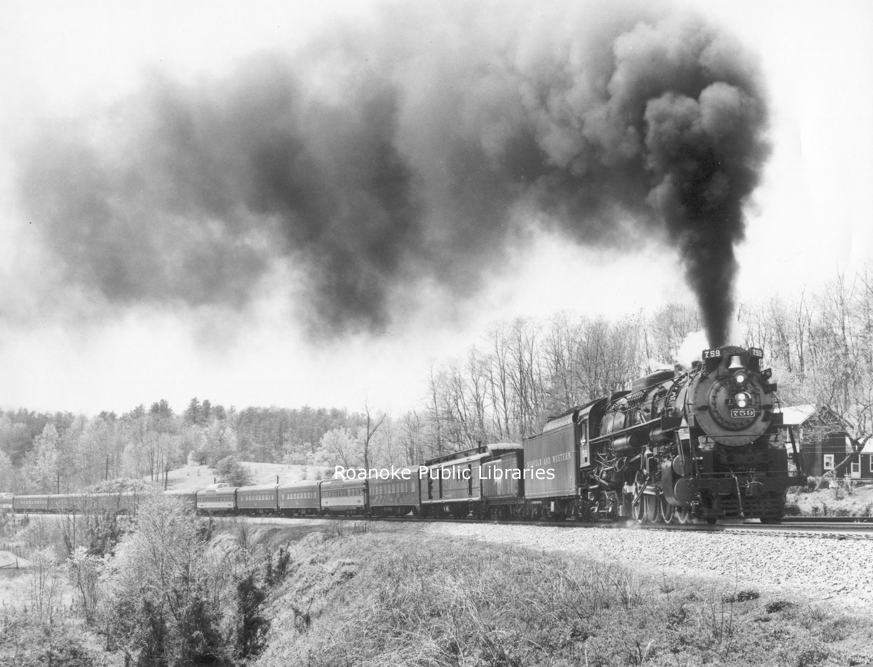 HNWR194.jpg