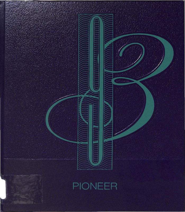 Pioneer1993.pdf