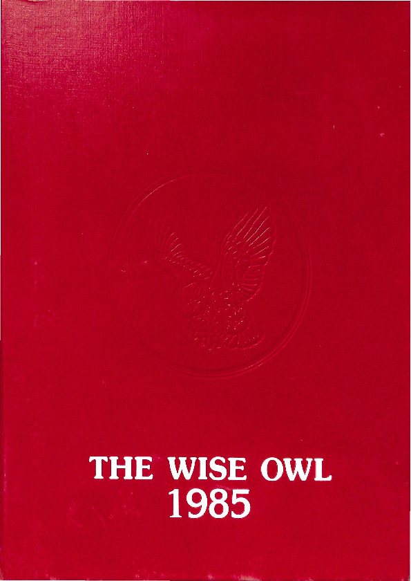 Owl1985.pdf