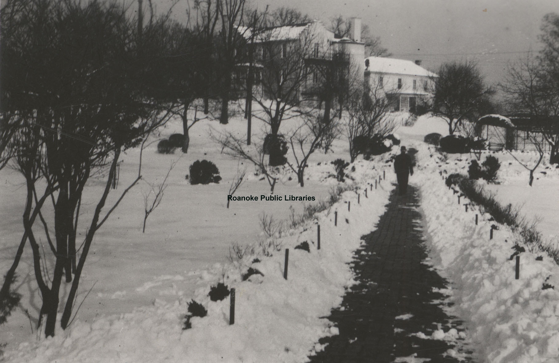 Davis 1.96B Snow in Elmwood.jpg