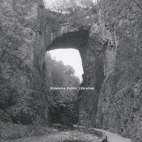 MP 14.0 Natural Bridge