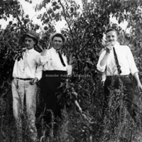 RNRV26 Peach Orchard
