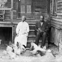 RNRV47 Danmore Family