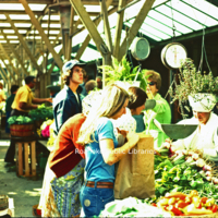 Creasy34 City Market.jpg