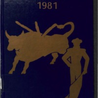 Matador 1981