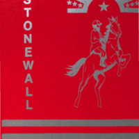 Stonewall 1980