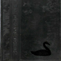 The Black Swan 1946