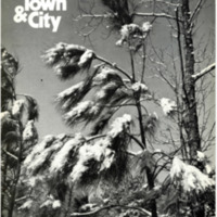 Virginia Town &amp; City <br /><br />
Volume 13, Number 3