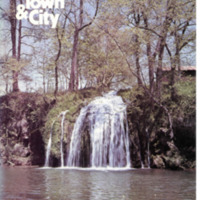 Virginia Town &amp; City<br /><br />
Volume 13, Number 4