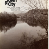 Virginia Town &amp;  City<br /><br />
Volume 13, Number 11