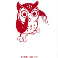 The Owl 1990
