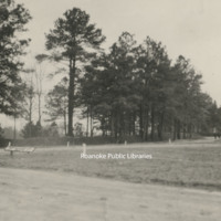 Davis2 91.1h Confederate Breastworks