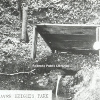 Davis GL 46 Spring in Weaver Heights Park.jpg