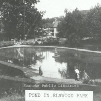 Davis GL 69 Pond in Elmwood Park.jpg