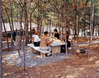 VF 3 Smith Mountain Lake Picnic Area.jpg