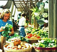 Creasy33 City Market.jpg