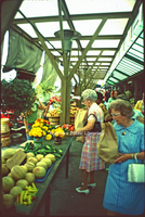 Creasy35 City Market.jpg