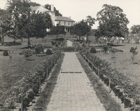 Davis 1.93 Elmwood Park looking from SW corner.jpg