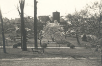 Davis 1.97 Springtime in Elmwood.jpg