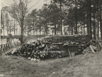 Davis 91.1g Woodpile at Pine Gardens.jpg