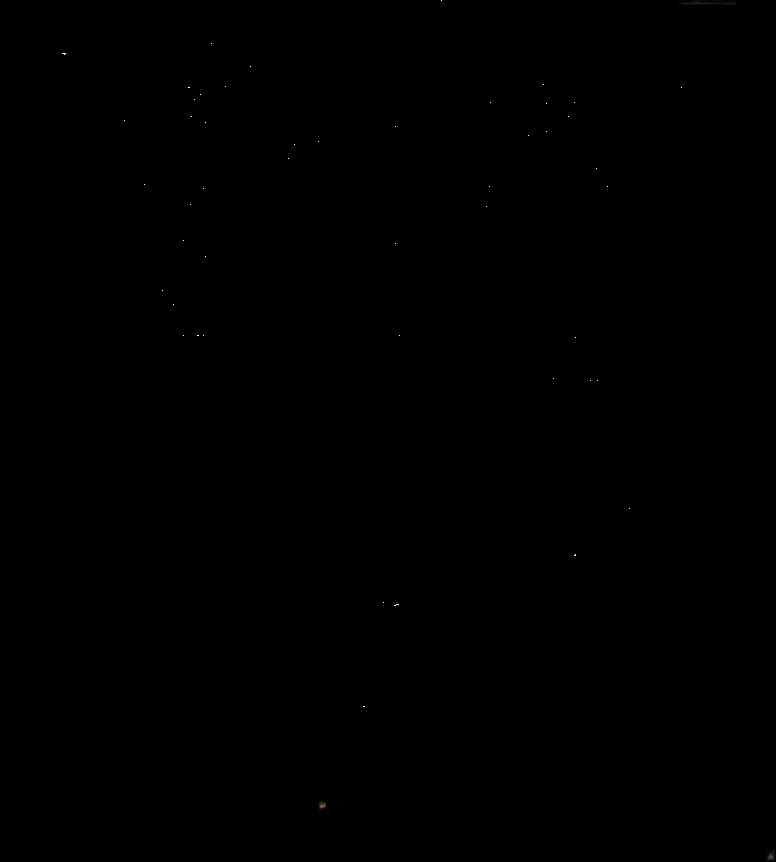 Oracle1920.pdf