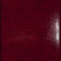 1962-71Scrapbook.pdf