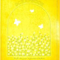 1977-79Scrapbook.pdf