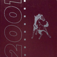 Chargers2001.pdf