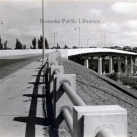 Davis 66.21 Wasena Bridge.jpg