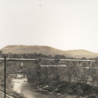 Davis 66.219 Wasena Bridge.jpg