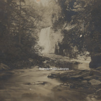 Davis 68.31 Carvins Cove Falls.jpg