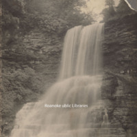 Davis 68.32 Carvins Cove Falls.jpg