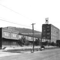 Davis 47.312 Roanoke City Mills.jpg