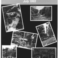 July1993.pdf